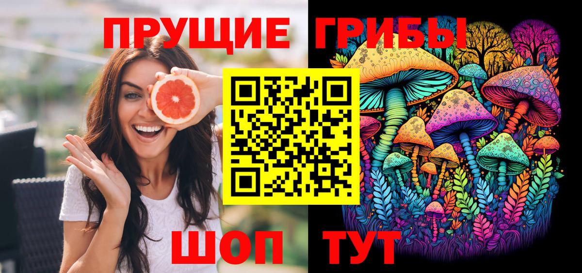 Псилоцибиновые грибы прущие грибы  Вход с VPN  Тосно  Псилоцибиновые грибы прущие грибы 
